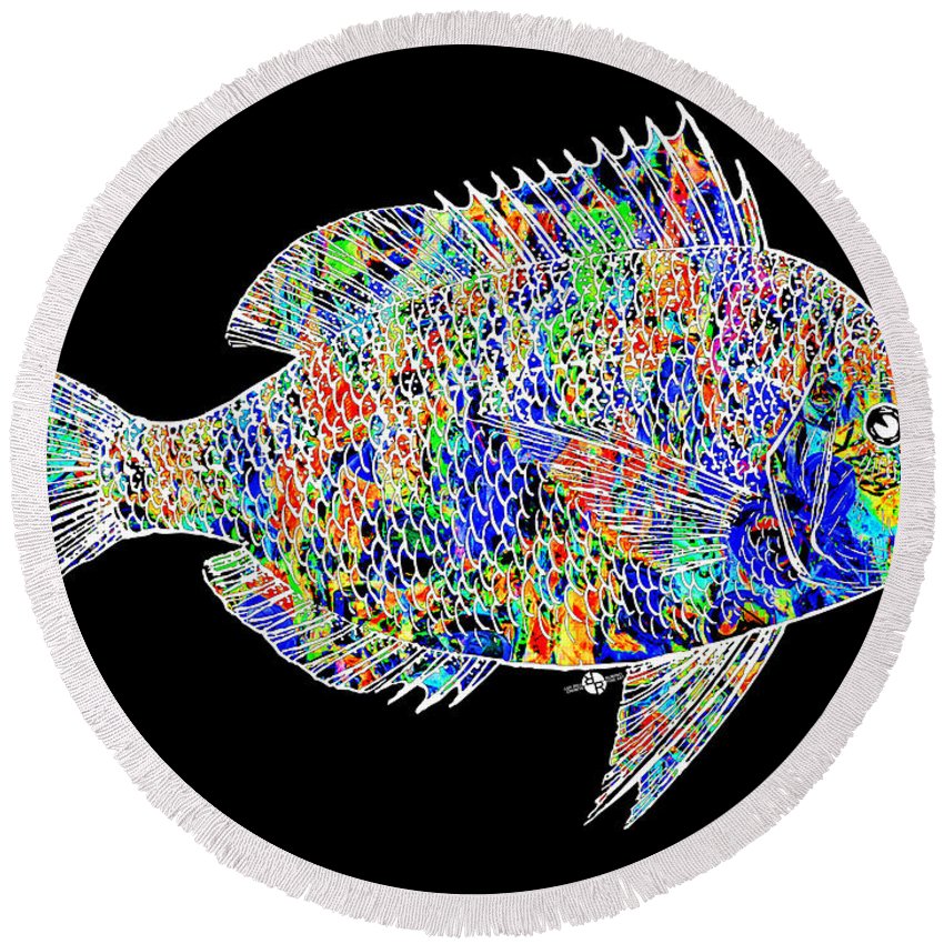 Fish Study 2 - Round Beach Towel – Rubino Creative Fine Art