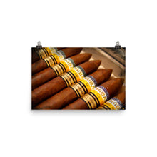 Cohiba Cigar Painting Cigars Poster