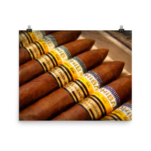 Cohiba Cigar Painting Cigars Poster