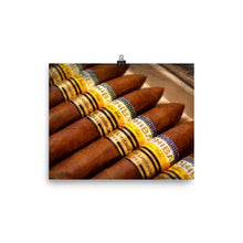 Cohiba Cigar Painting Cigars Poster