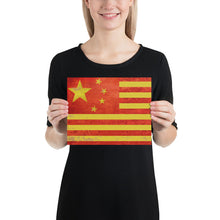 Chinese American Chinese-American Flag Poster
