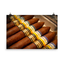 Cohiba Cigar Painting Cigars Poster