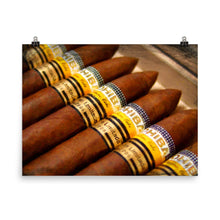 Cohiba Cigar Painting Cigars Poster