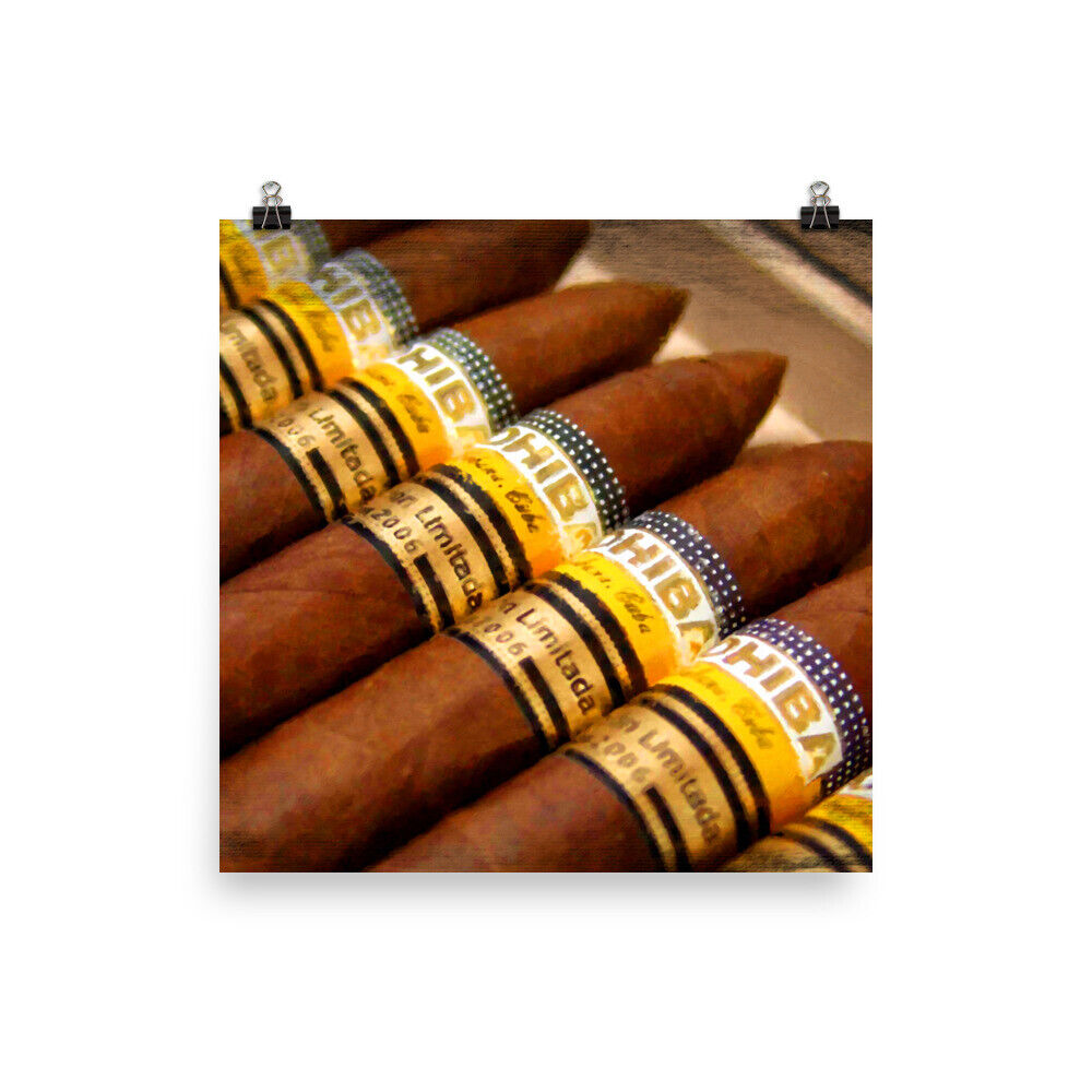 Cohiba Cigar Painting Cigars Poster