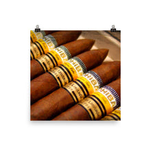 Cohiba Cigar Painting Cigars Poster