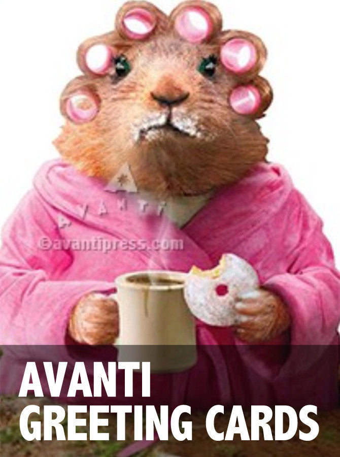 Avanti Greeting Cards BOOK & COMICS Rubino Creative Fine Art   