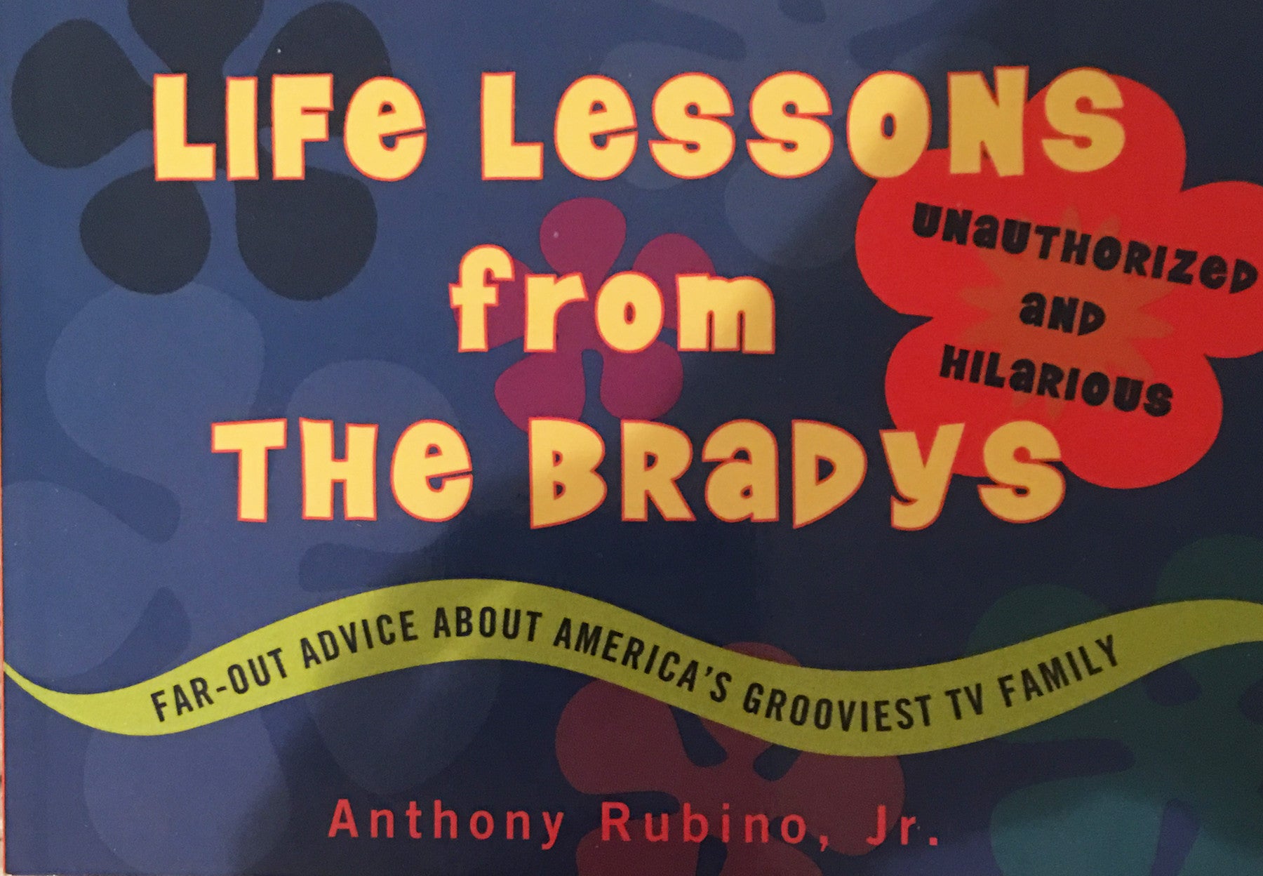 Life Lessons from the Bradys BOOK & COMICS Rubino Creative Fine Art   