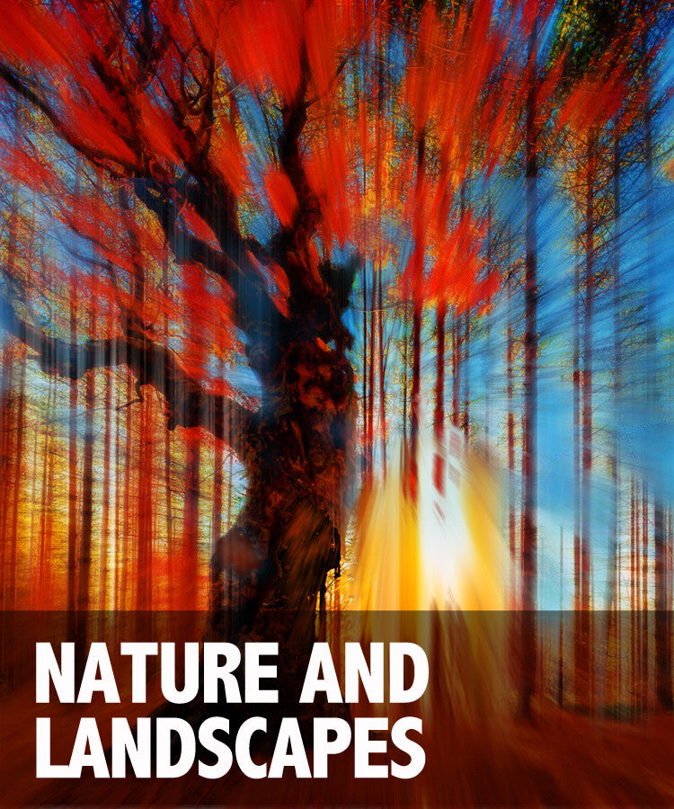 Nature and Landscapes Art Rubino Creative Fine Art   