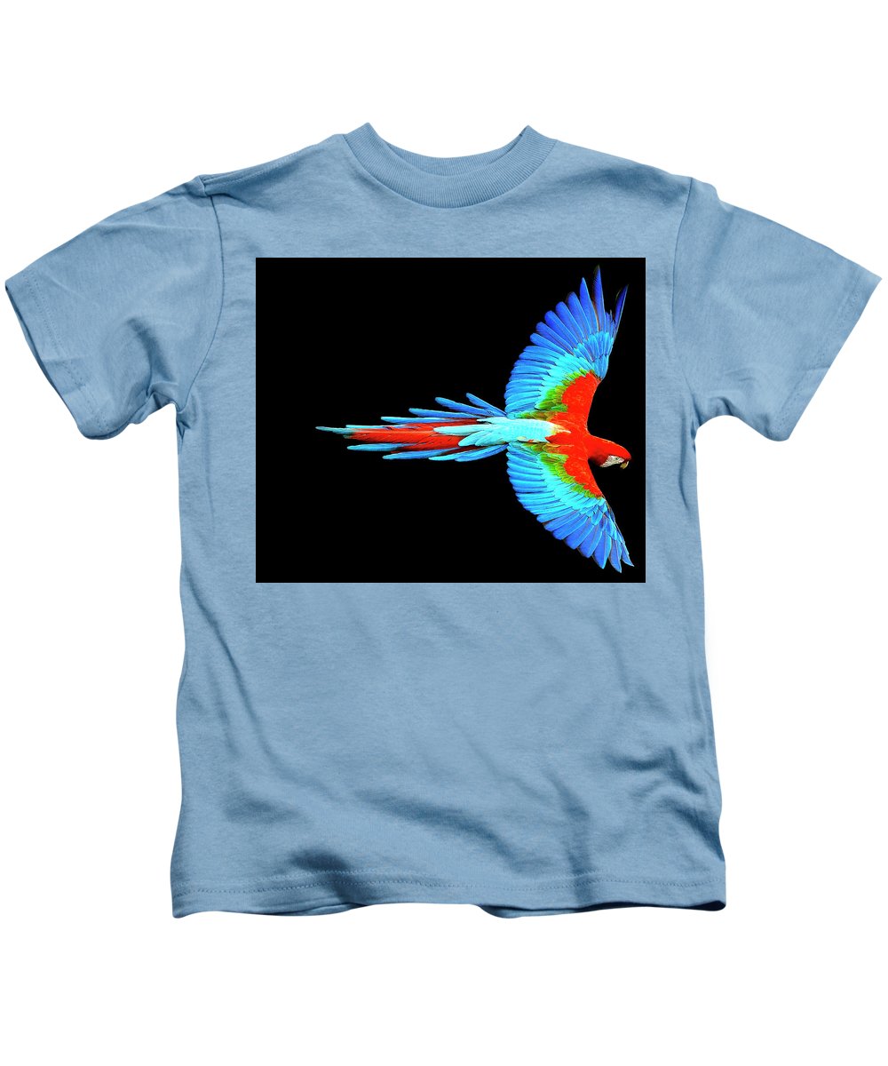 Colorful Parrot In Flight - Kids T-Shirt Kids T-Shirt Pixels Carolina Blue Small 