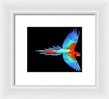Colorful Parrot In Flight - Framed Print Framed Print Pixels 8.000" x 6.625" White White