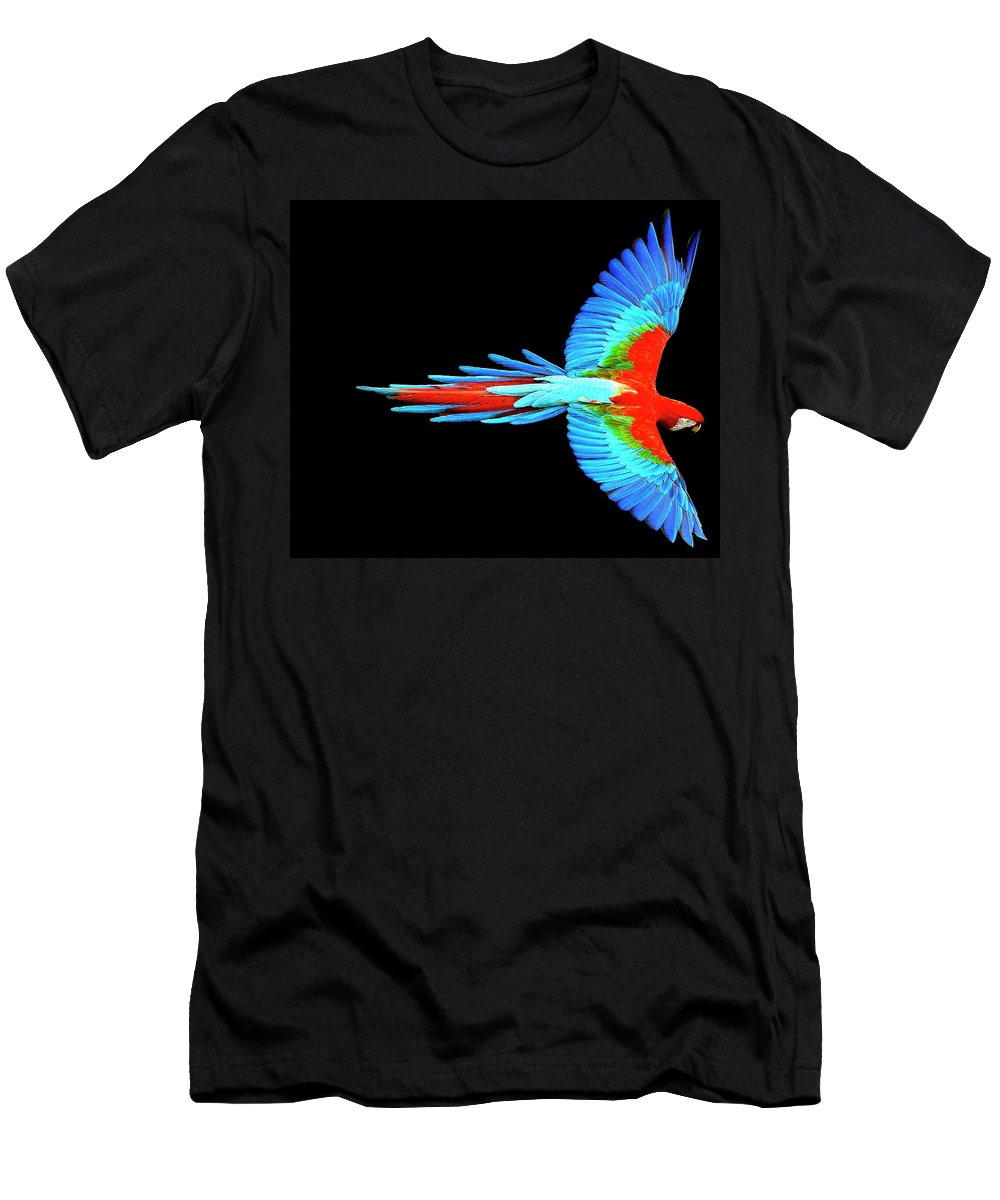 Colorful Parrot In Flight - Men's T-Shirt (Athletic Fit) Men's T-Shirt (Athletic Fit) Pixels Black Small 