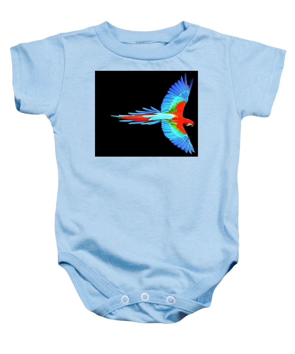 Colorful Parrot In Flight - Baby Onesie Baby Onesie Pixels Light Blue Small 