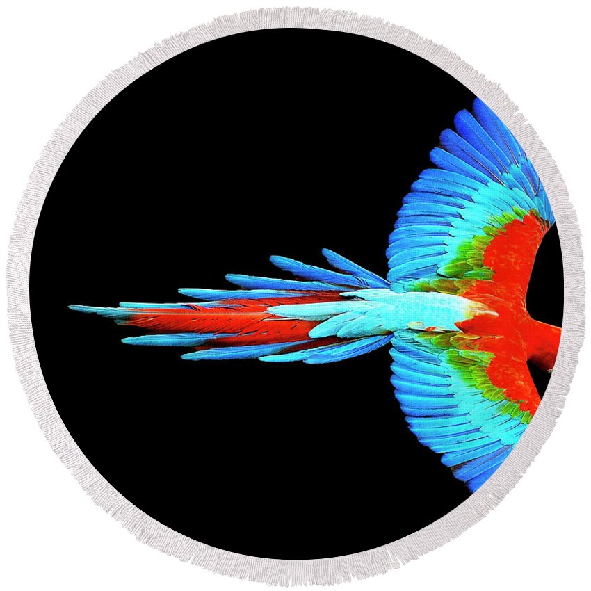 Colorful Parrot In Flight - Round Beach Towel Round Beach Towel Pixels 60