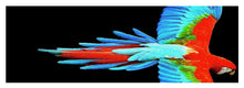 Colorful Parrot In Flight - Yoga Mat Yoga Mat Pixels   