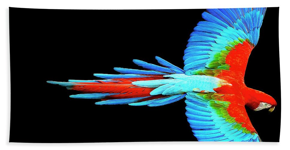 Colorful Parrot In Flight - Bath Towel Bath Towel Pixels Hand Towel (15