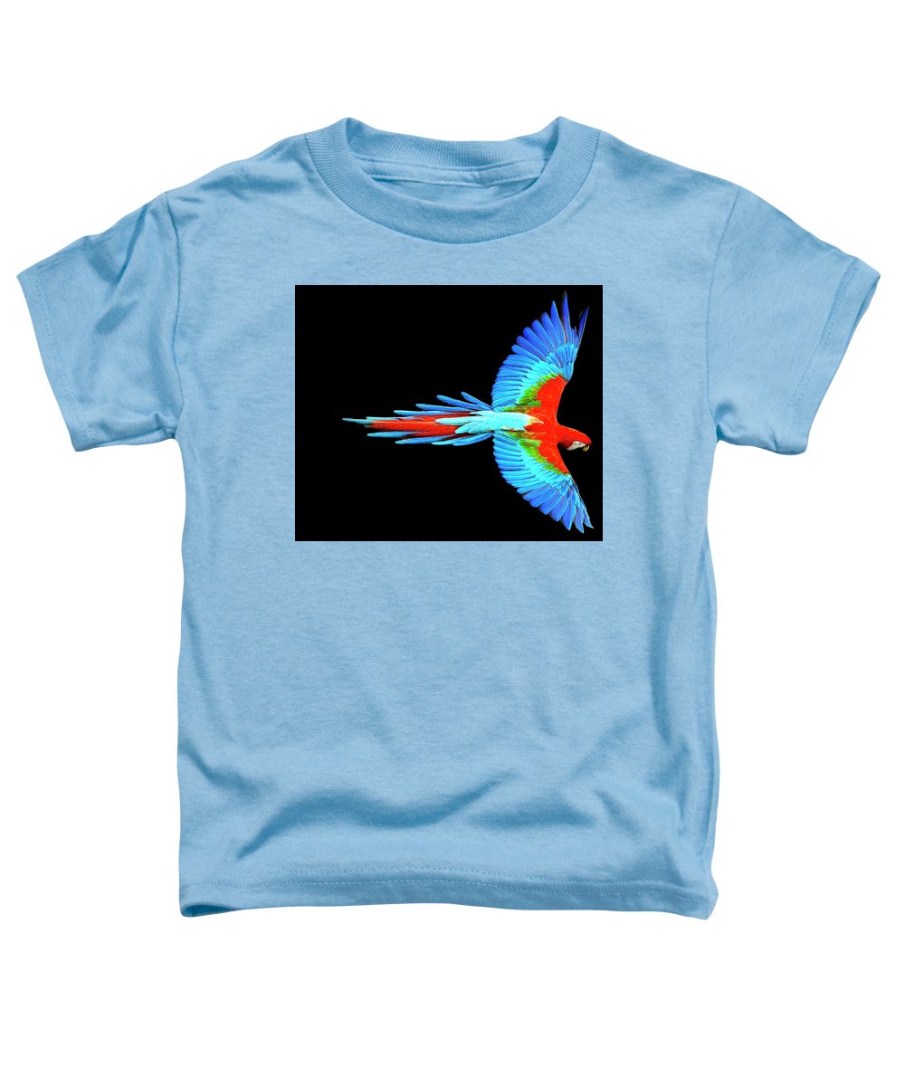 Colorful Parrot In Flight - Toddler T-Shirt Toddler T-Shirt Pixels Carolina Blue Small 