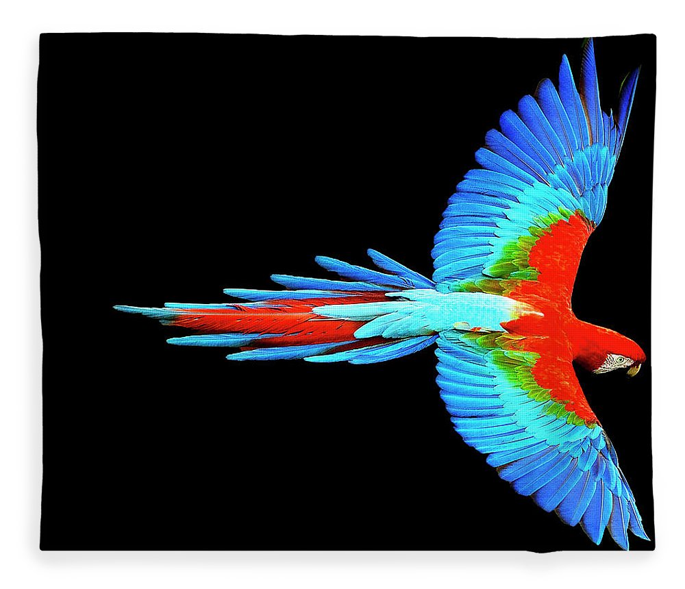 Colorful Parrot In Flight - Blanket Blanket Pixels 50