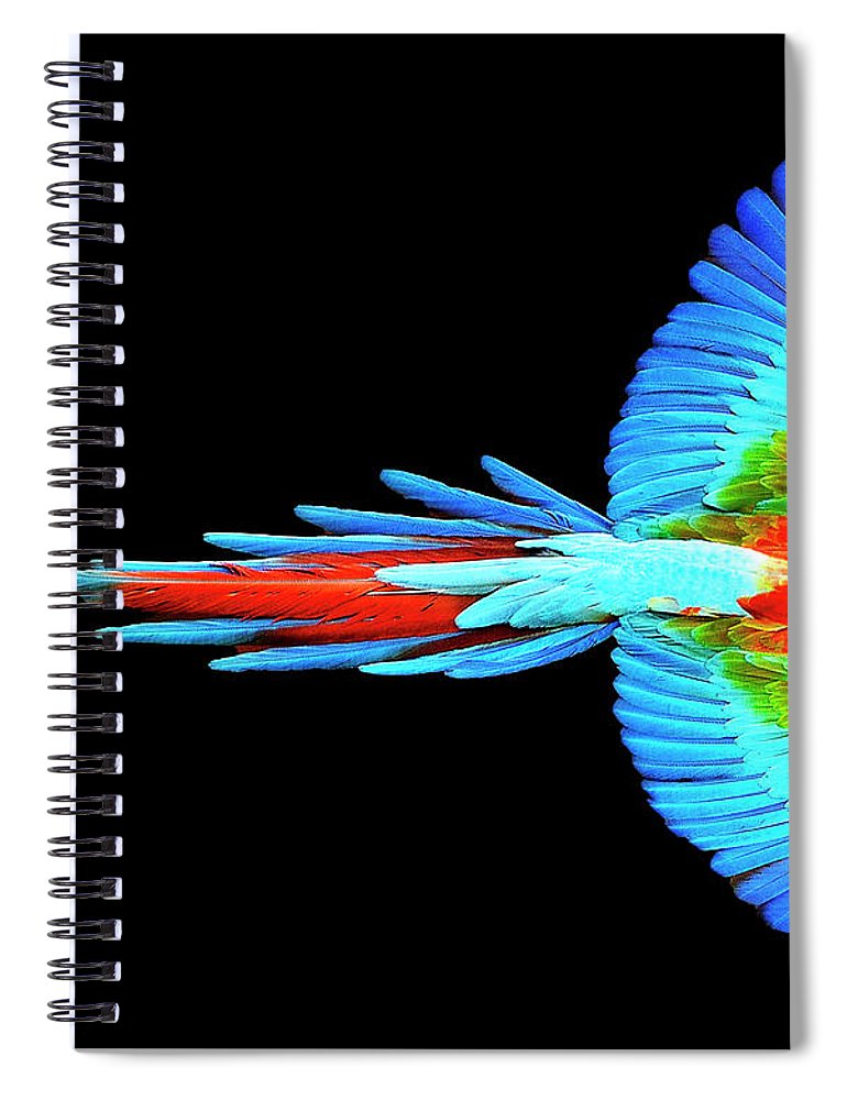 Colorful Parrot In Flight - Spiral Notebook Spiral Notebook Pixels 6