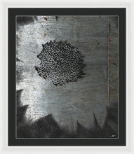 Dirty Silver Sunflower - Framed Print