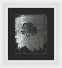 Dirty Silver Sunflower - Framed Print