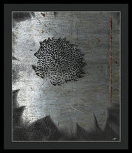 Dirty Silver Sunflower - Framed Print