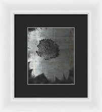 Dirty Silver Sunflower - Framed Print