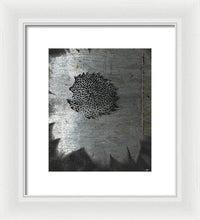 Dirty Silver Sunflower - Framed Print