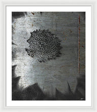 Dirty Silver Sunflower - Framed Print