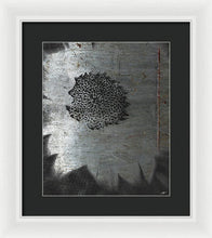 Dirty Silver Sunflower - Framed Print