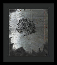 Dirty Silver Sunflower - Framed Print