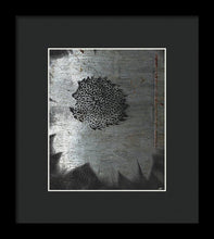 Dirty Silver Sunflower - Framed Print
