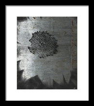Dirty Silver Sunflower - Framed Print