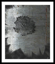 Dirty Silver Sunflower - Framed Print