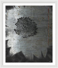 Dirty Silver Sunflower - Framed Print