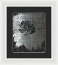 Dirty Silver Sunflower - Framed Print