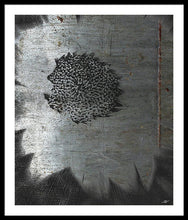 Dirty Silver Sunflower - Framed Print