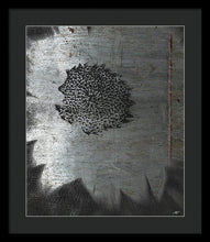 Dirty Silver Sunflower - Framed Print
