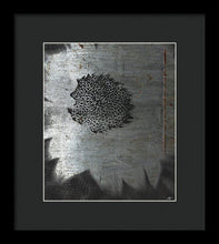 Dirty Silver Sunflower - Framed Print