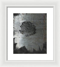 Dirty Silver Sunflower - Framed Print