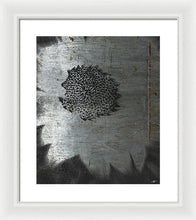 Dirty Silver Sunflower - Framed Print