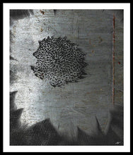Dirty Silver Sunflower - Framed Print