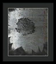 Dirty Silver Sunflower - Framed Print