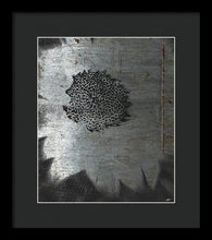 Dirty Silver Sunflower - Framed Print