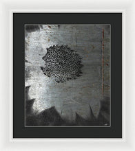 Dirty Silver Sunflower - Framed Print