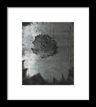 Dirty Silver Sunflower - Framed Print
