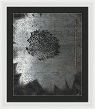 Dirty Silver Sunflower - Framed Print