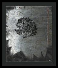 Dirty Silver Sunflower - Framed Print