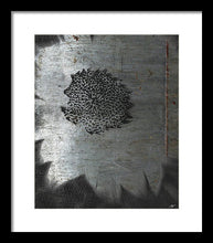 Dirty Silver Sunflower - Framed Print