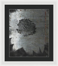 Dirty Silver Sunflower - Framed Print