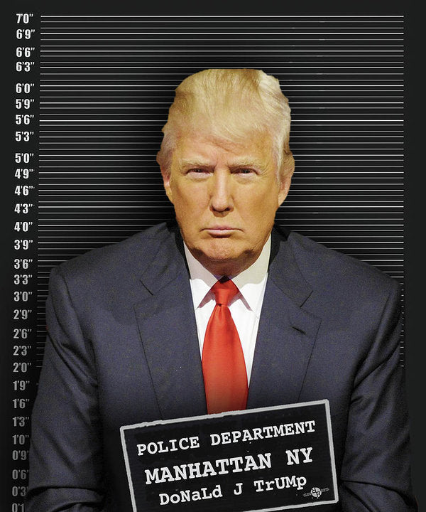 Donald Trump Mugshot - Art Print